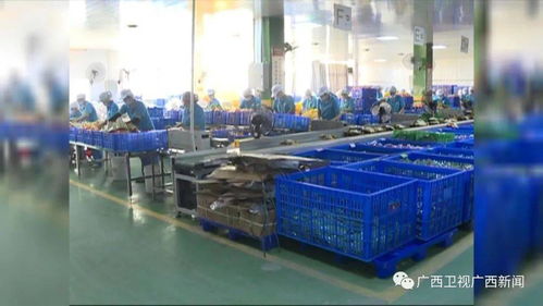 雙十一掀起年底消費(fèi)熱潮，食品銷(xiāo)售表現(xiàn)亮眼