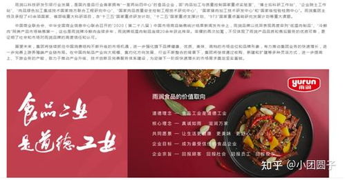 江蘇知名食品企業(yè)網(wǎng)絡(luò)營銷策略與食品銷售分析報告